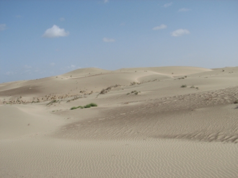 desert