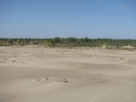 line of the desert