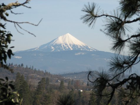 mt. pitt